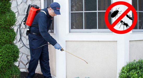 Yıkıkkemer Hamam Böceği İlaçlama böcek ilaçlama ve haşere kontrolü — ilaclama-tr.com